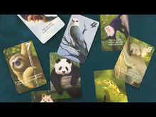 Load and play video in Gallery viewer, Flipology