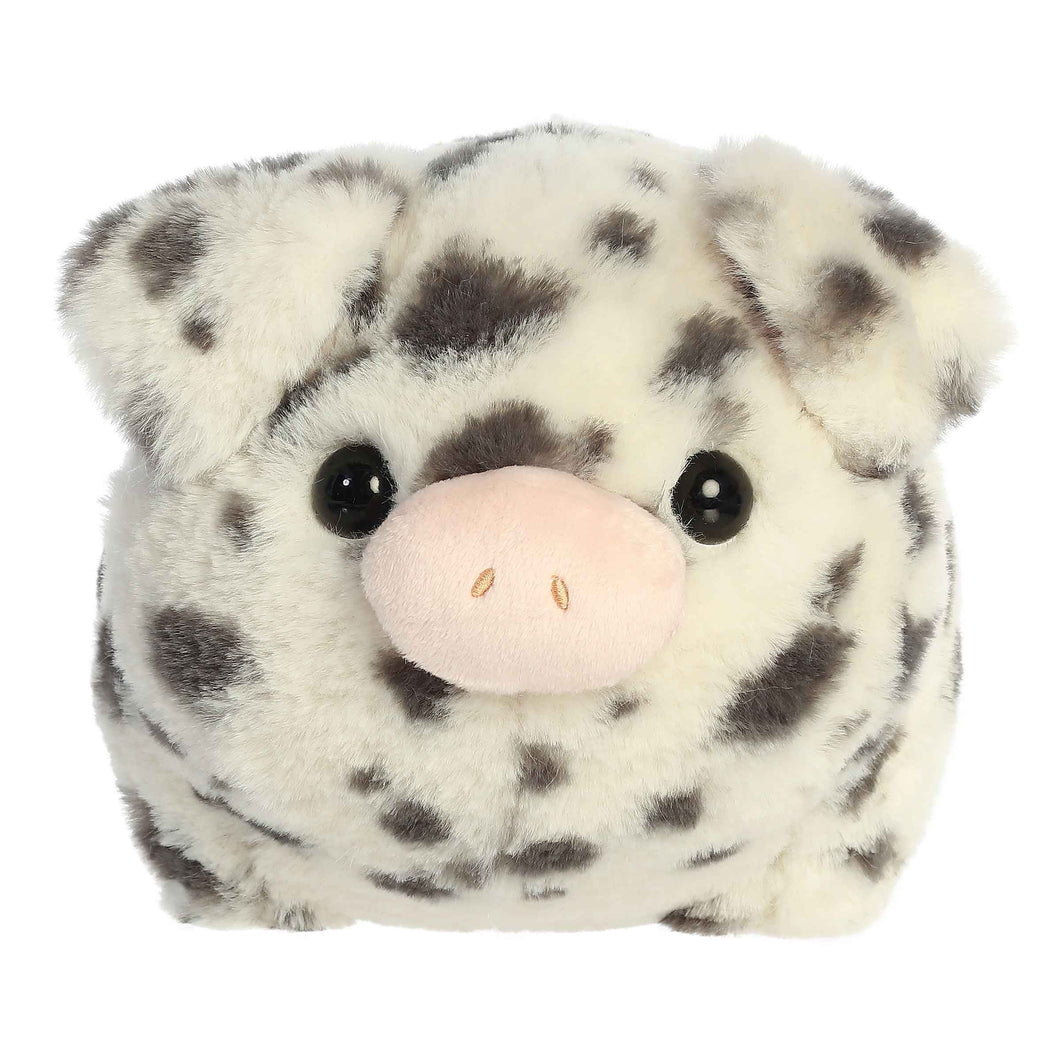 Spudsters Pierre Spotted Pig