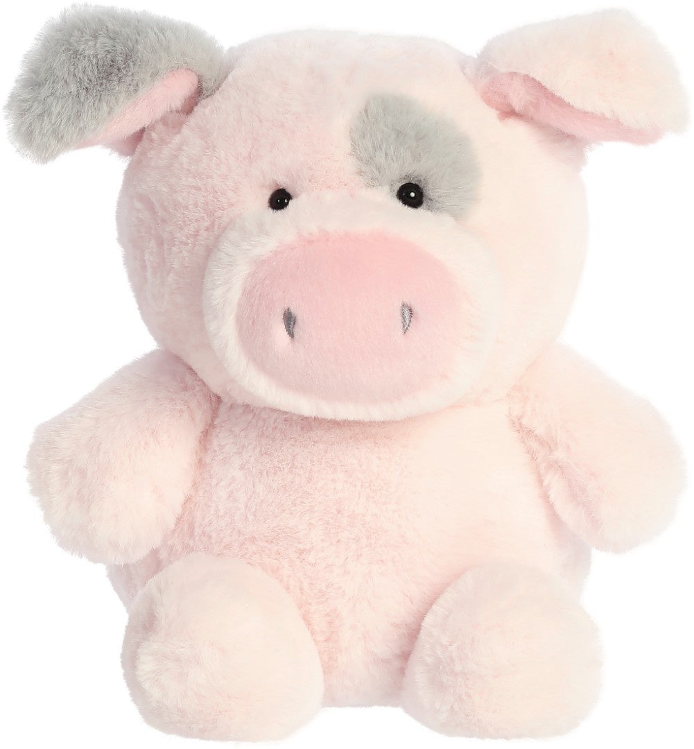 Smarty Pig