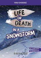 You Choose Lost Life or Death in a Snowstorm