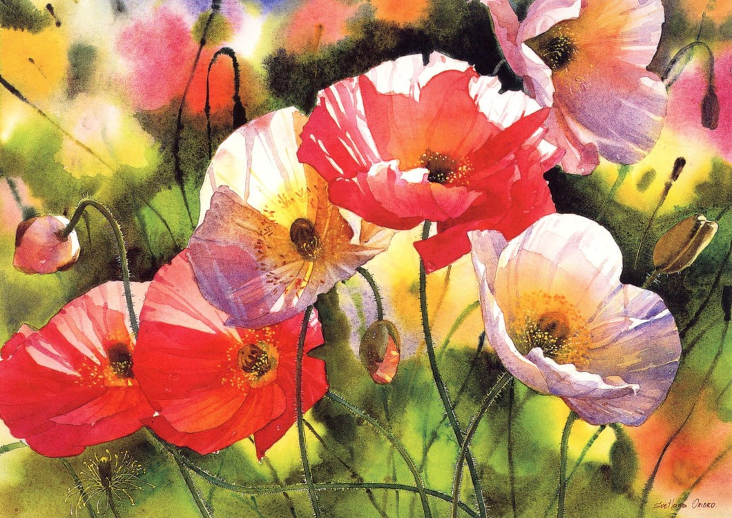 CARD OXTED OXFA133 ICELAND POPPIES