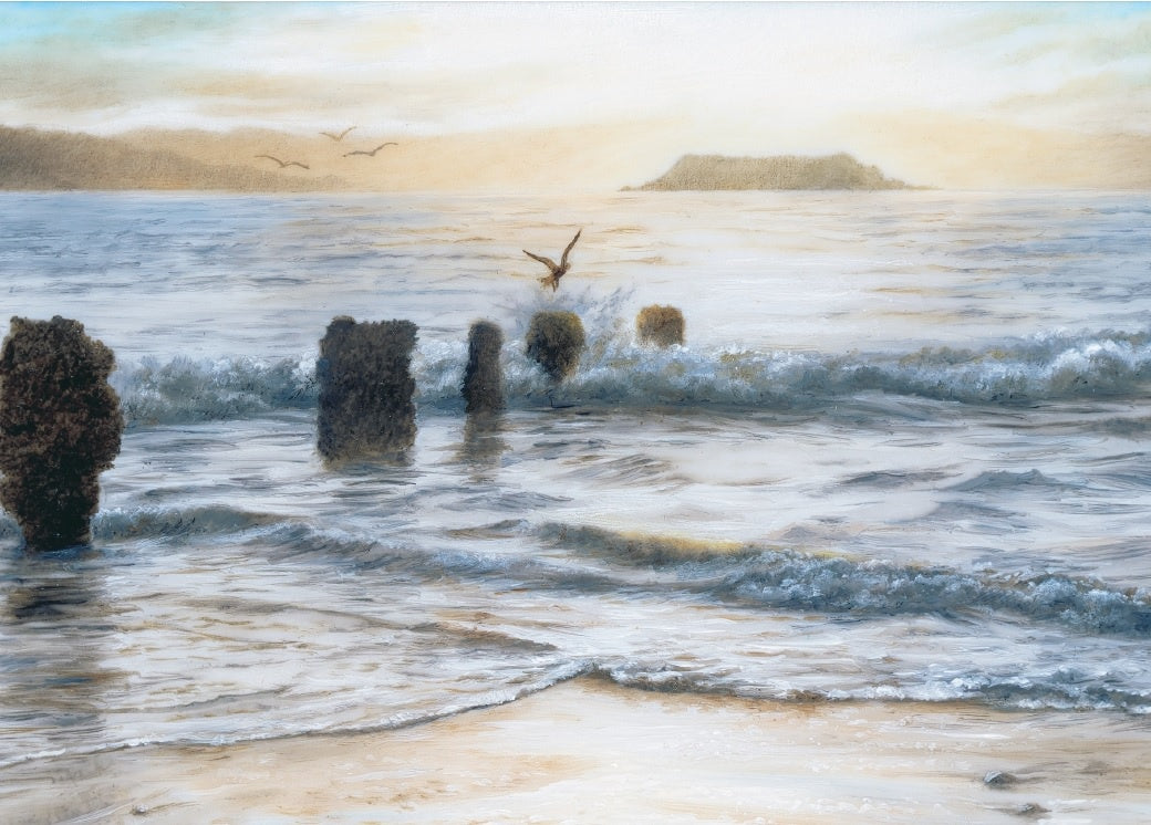 EVENING LIGHT Hillary Tippins