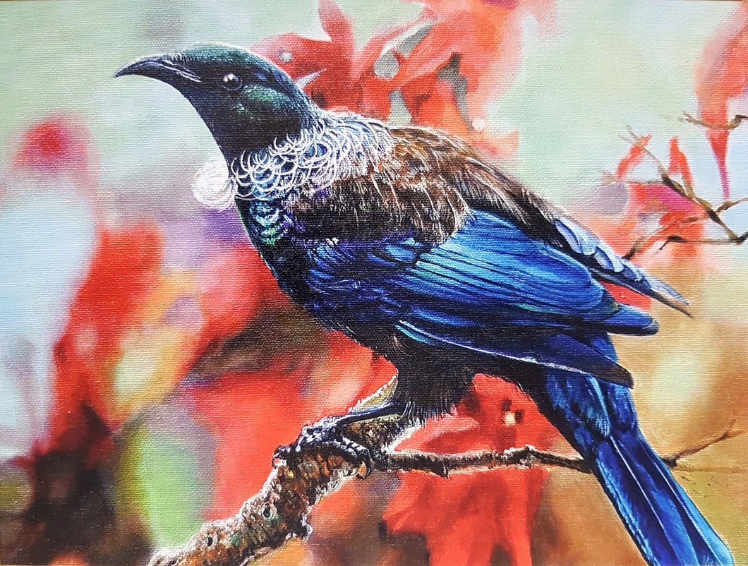 TUI Rafael De Armas