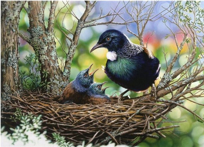 CARD OXTE 399 BLANK TUIS IN A NEST
