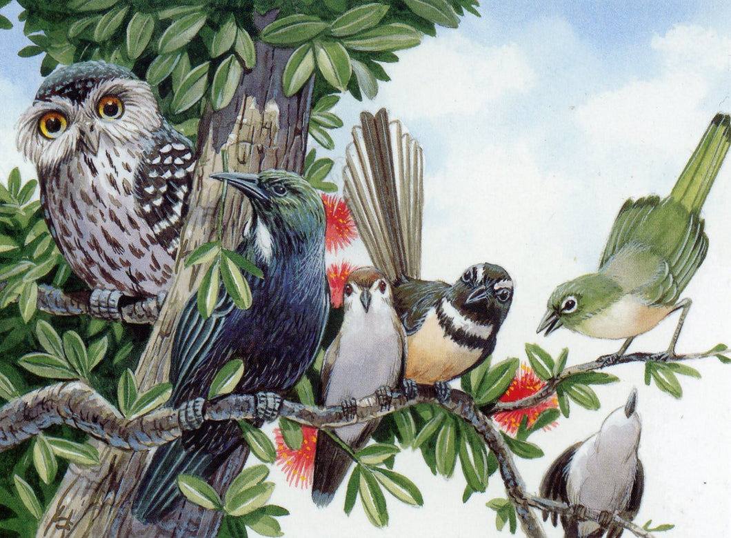BLANK/ NZ Birds/Dave Gunson