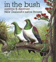 In the Bush: Explore & Discover New Zealand's Native Forests