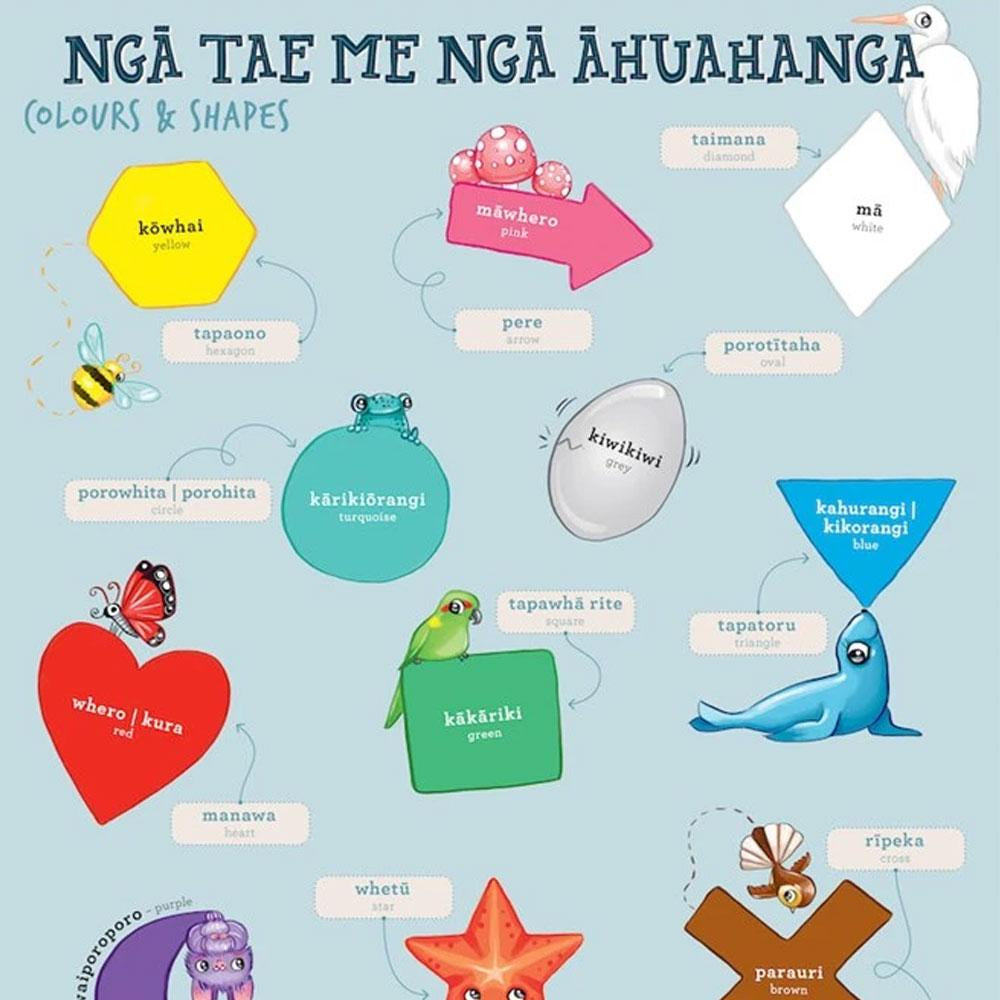 Te Reo Māori - Colours & Shapes A3 Wall Poster