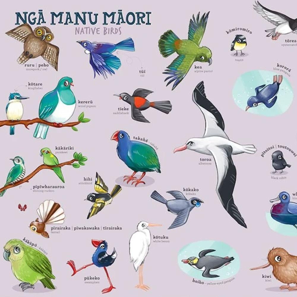 Te Reo Māori - Native Birds A3 Wall Poster