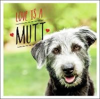 Love is a Mutt: A Dog-Tastic Celebration of the World's Cutest Mixed and Cross Breeds