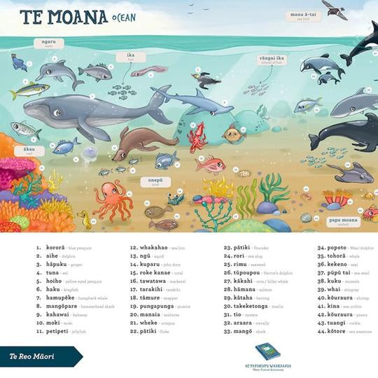 Te Reo Māori: Ocean A2 Wall planner