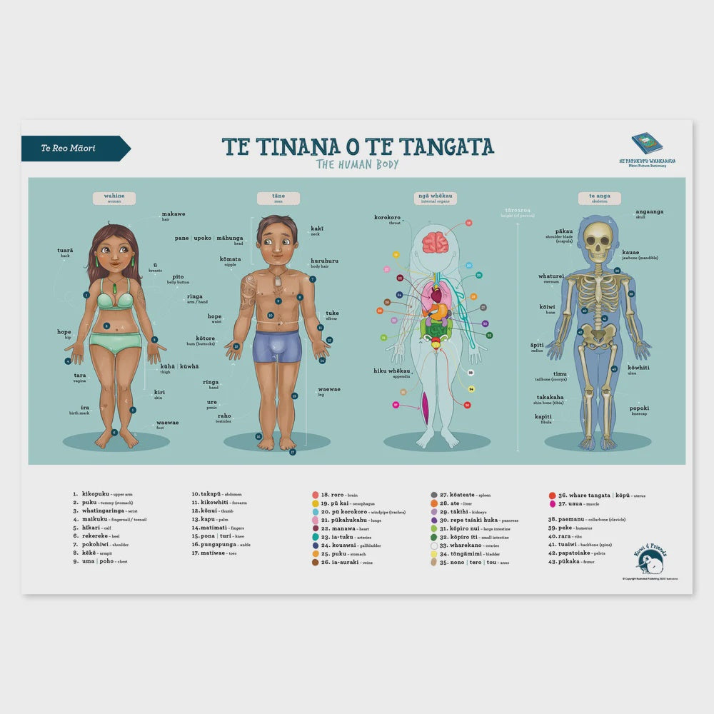 Te Reo Māori - A2 Poster - Human Body