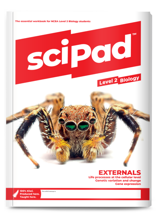 sciPAD External Biology Workbook Level 2 (OPTIONAL)