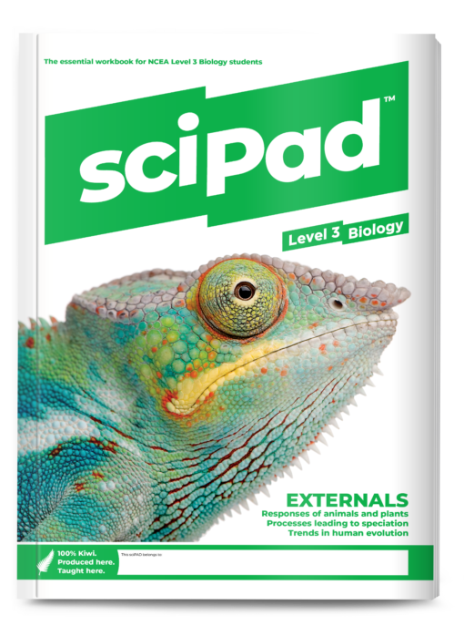 sciPAD External Biology Workbook Level 3 Year 13 (OPTIONAL)