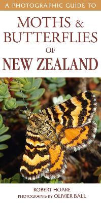 A Photographic Guide to Moths & Butterfies of New Zealand