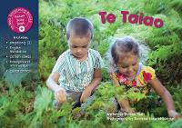 Te Taiao